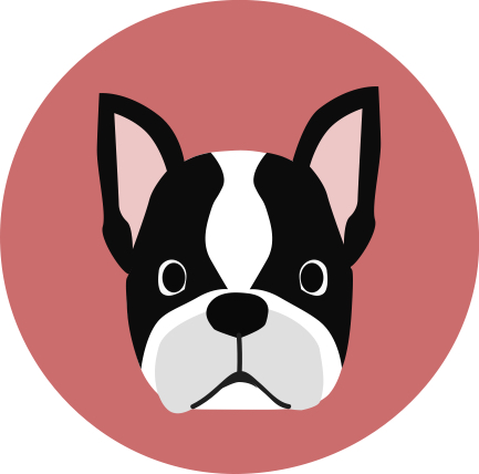 Frenchie.jpg